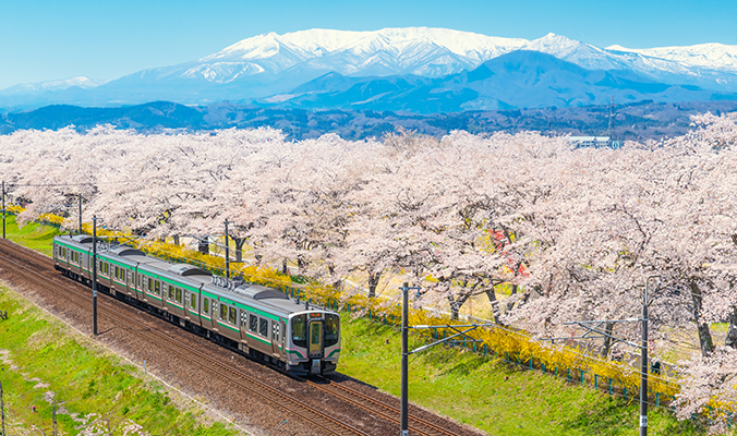 桜と電車の風景イメージ